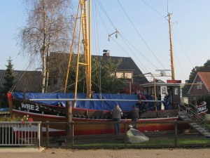 Koralle winterfest