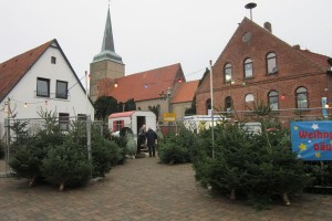 Weihnachtsbaeume