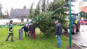 Weihnachtsbaum kommt