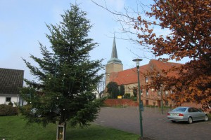Weihnachtsbaum steht