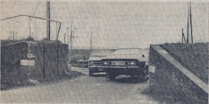 Deichschart